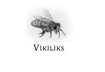 Araç kiralama İstanbul'da Vikiliks'le daha güvenli