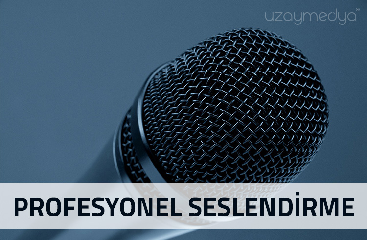 Kurumsal Seslendirmenin Önemi Giderek Artıyor