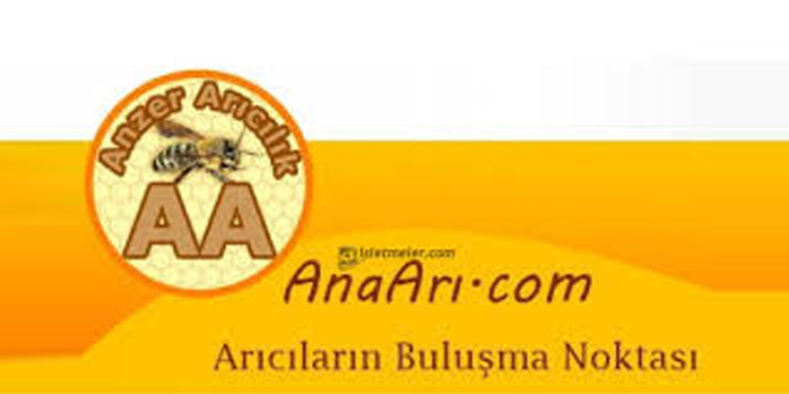 Ana Arı Kafkas Ana Arı