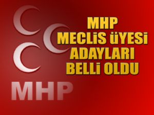 MHP Meclis Üyesi adayları