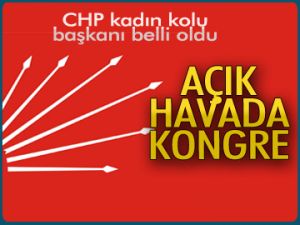 CHP kadın kolu başkanı belli oldu