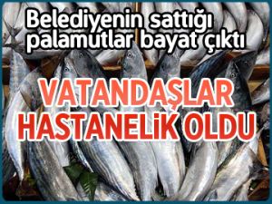 Belediyenin palamutları bayat çıktı