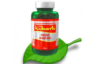 Reishi Mantarı