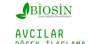 Biosin Avcılar Böcek İlaçlama Hizmeti