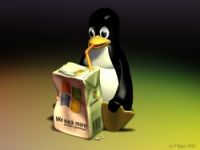 Windowsu kaybetmeden Linux nasıl kurulur?