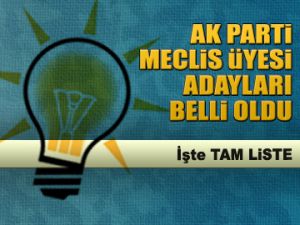 AK Parti Meclis Üyesi adayları