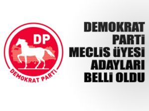 DP Meclis Üyesi adayları