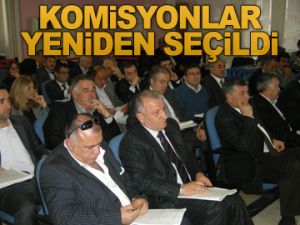 Komisyonlar yeniden seçildi