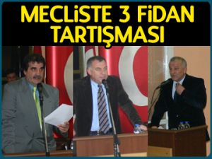 Mecliste 3 fidan tartışması