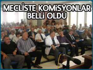 Mecliste komisyonlar belli oldu