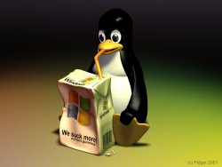 Windows'u kaybetmeden Linux nasıl kurulur?