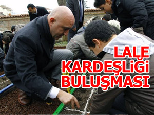 Emirgan'da lale kardeşliği buluşması