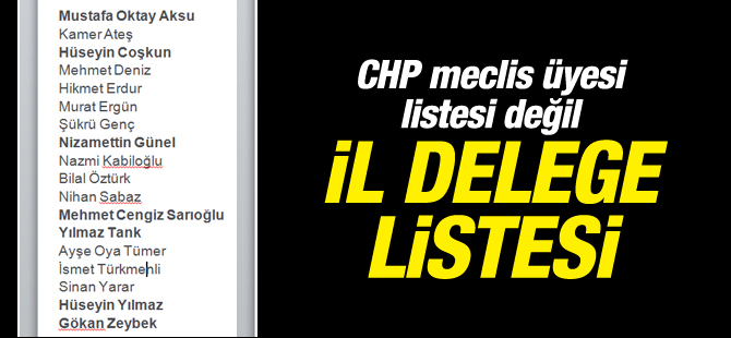 CHP meclis üyesi listesi değil İL DELEGE LiSTESi