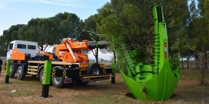 İstanbul'da Ağaç Taşıma Dönemi: Transplantasyon Nedir, Nasıl Uygulanıyor?